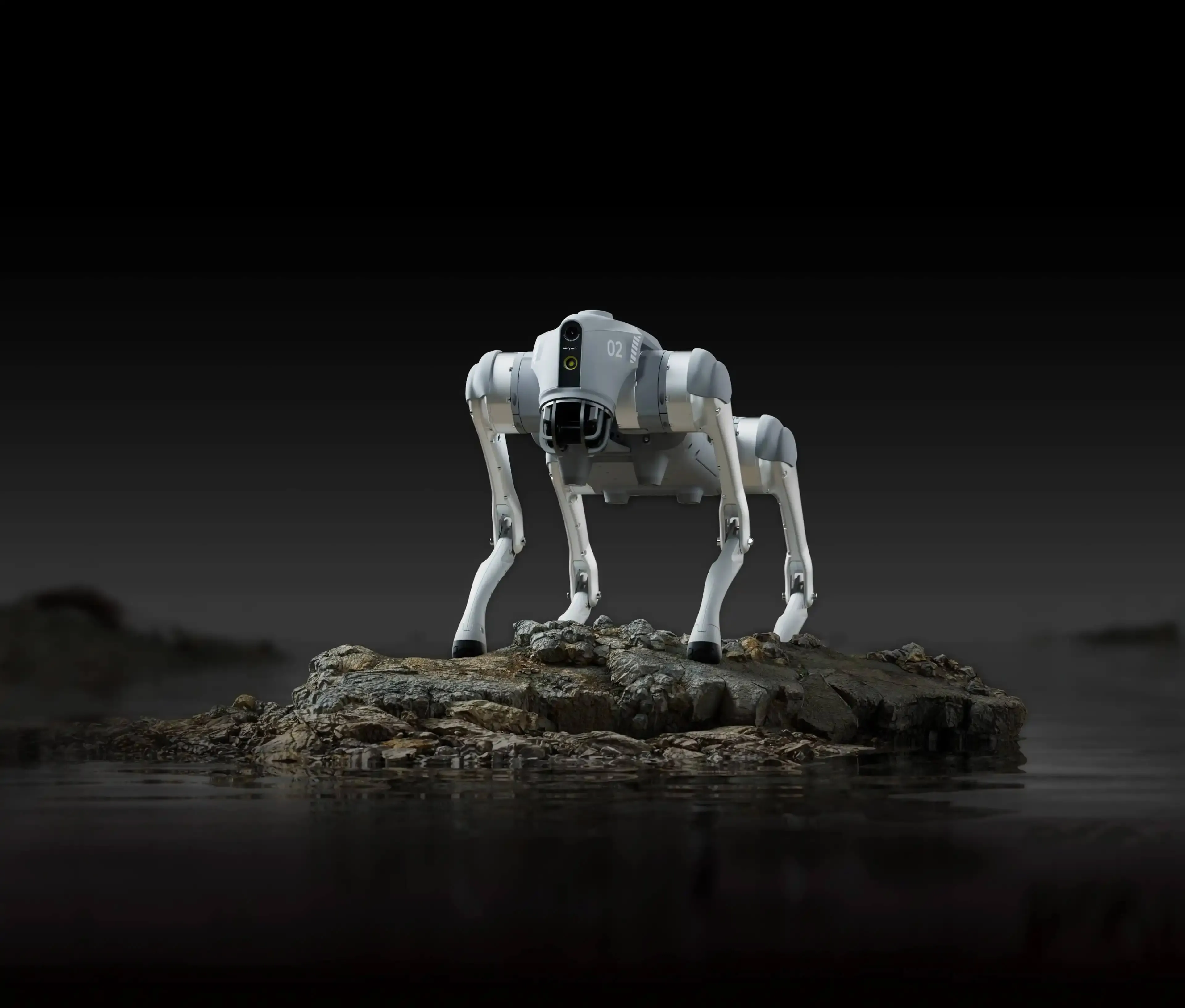 Go2 Quadruped Robot